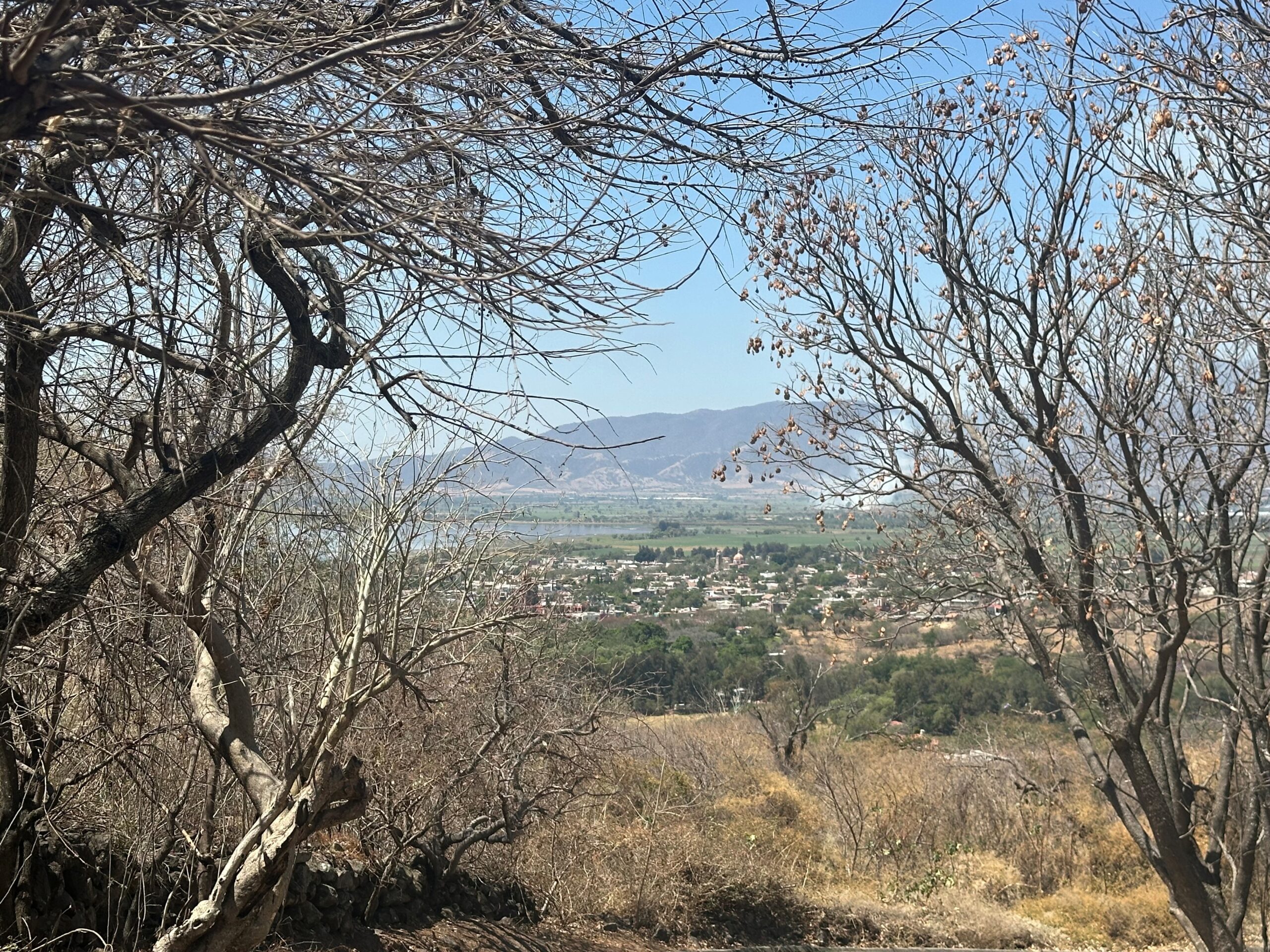 best things to do in guadalajara. guachimontes