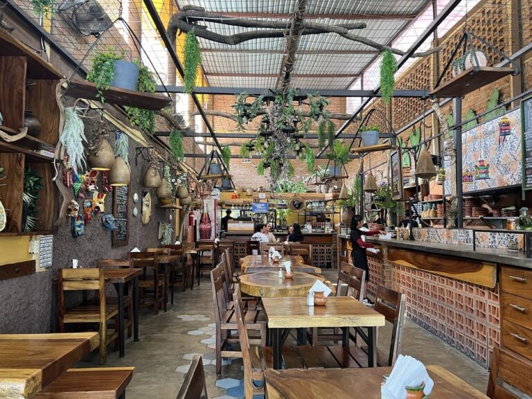 where to eat in zona Romántica.