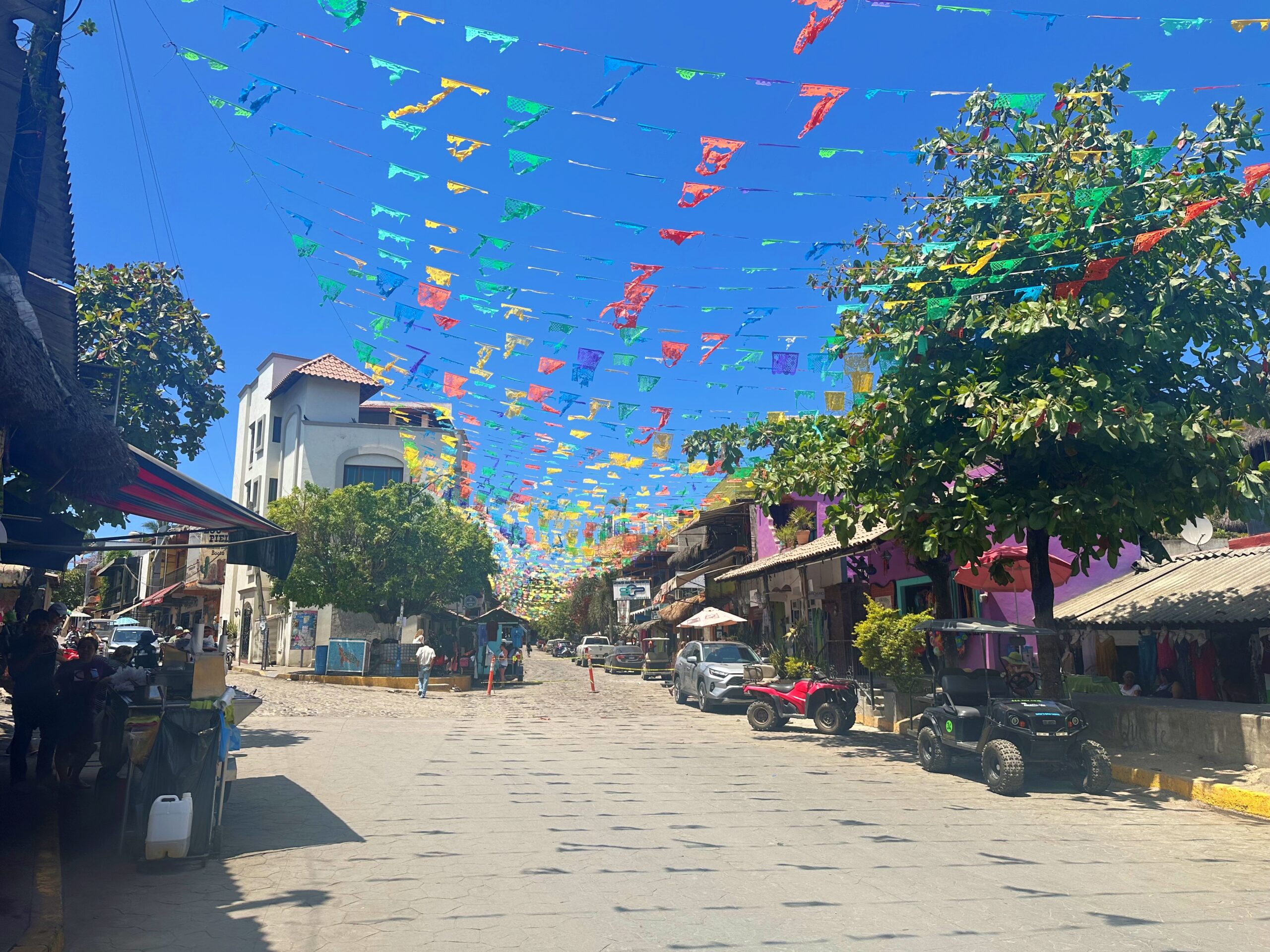 sayulita day trip