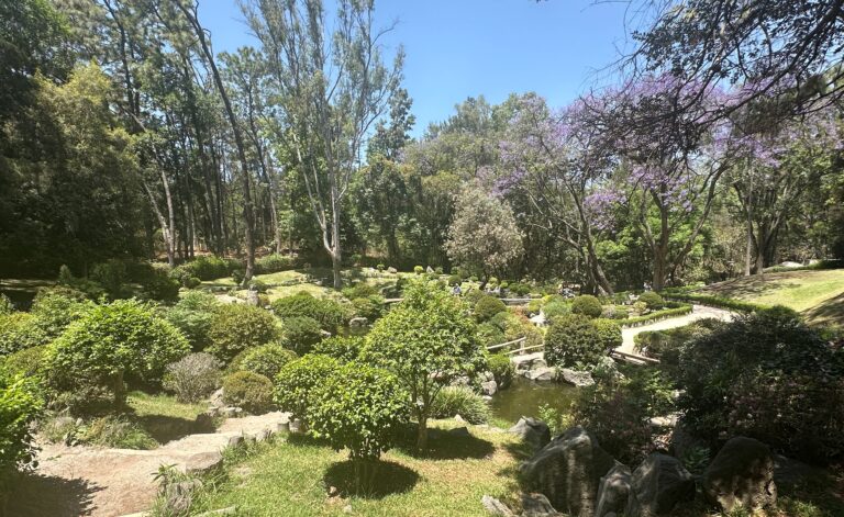 Best things to do in Guadalajara. los colomos